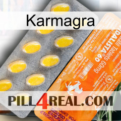 Karmagra new05